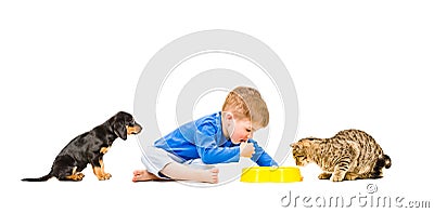 Little cute boy eats with his cat and dog Stock Photo