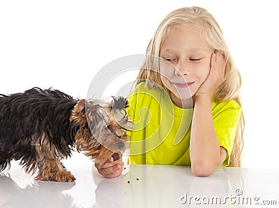 Little cute girl feeding her dog Stock Photo