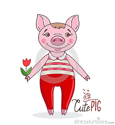 Little cute pig in cartoon style holding a tulip in his hand on a white background Vector Illustration