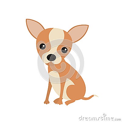 Little cute sitting chihuahua puppy. Little brown pocket dog, isolated on white background. Vector Illustration