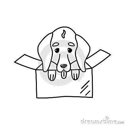 Little dachshund dog in a cardboard box. Linear doodle illustration of a pet. Cute design element for animal shelters Vector Illustration