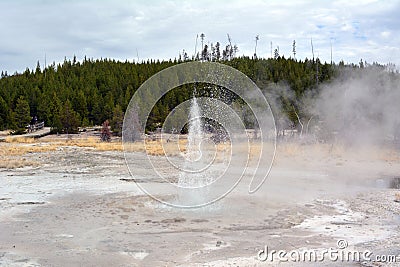 The little dancing acting geyser in Yellowstone Park Stock Photo