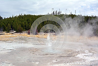 The little dancing acting geyser in Yellowstone Park Stock Photo