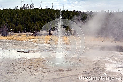 The little dancing acting Vixen geyser in Yellowstone Park Stock Photo