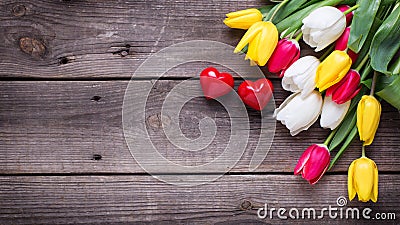 Little decorative hearts and bright spring tulips Stock Photo