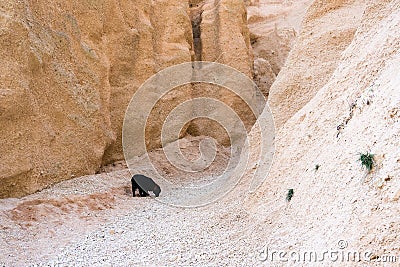 Canyon of the red blades Stock Photo