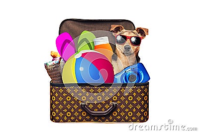 Little dog Packed vintage suitcase full of items for summer holidays travel, vacation, travel and trip isolated on white Stock Photo