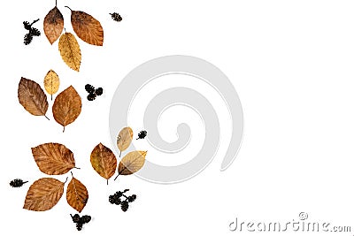 Little dried leaves on paper white studio background with copy space for advertisement. Autumn, thanksgiving day Stock Photo