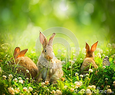 Little Easter Bunnies Stock Photo