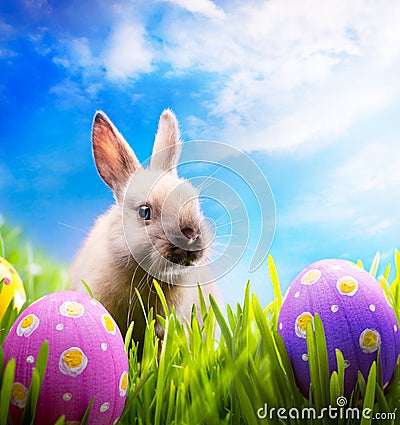 Little Easter bunny and Easter eggs on green grass Stock Photo