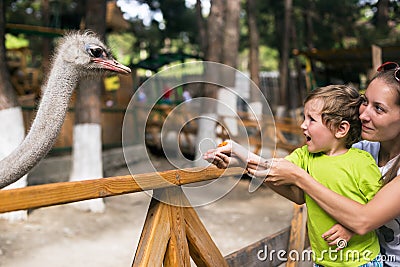 Little emotional boy with mother feed ostrich in contact zoo Stock Photo