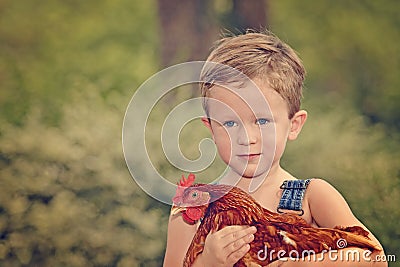 Little farm boy holding red chicken Stock Photo