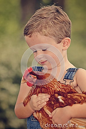 Little farm boy holding red chicken Stock Photo