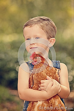 Little farm boy holding red chicken Stock Photo