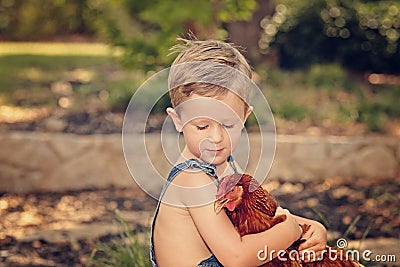 Little farm boy holding red chicken Stock Photo