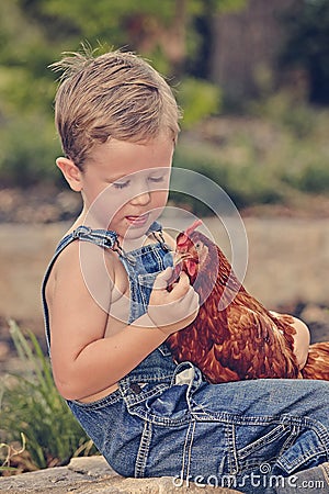 Little farm boy holding red chicken Stock Photo