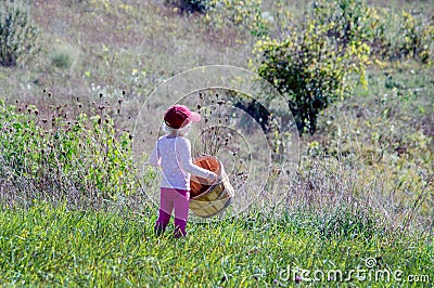 Little farm girl in orchard with basket Stock Photo