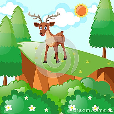 Little fawn standing on cliff Vector Illustration