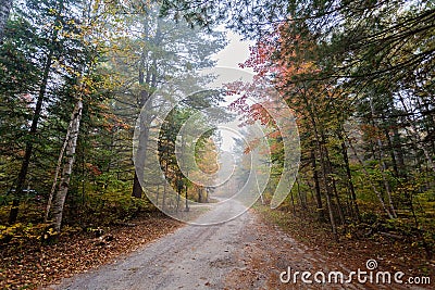 A little foggy road in Algonquin Provincial Park, Ontario, Canada Stock Photo