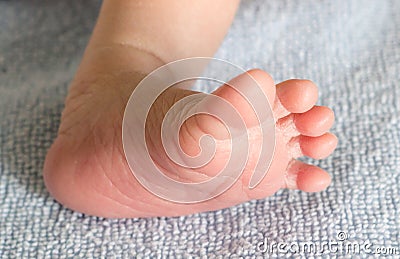 Little foot of newborn infant Stock Photo