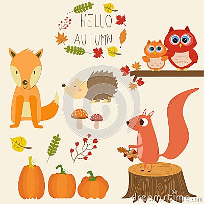 The little fox ,pumpkins,owls,squirrel,hedgehog,mushroom Vector Illustration