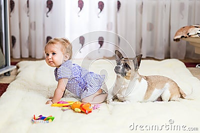 Little funny Caucasian girl the child sits at home on the floor on a light carpet with the best friend of the half-breed dog with Stock Photo