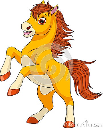 Little funny foaln Vector Illustration