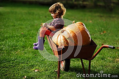 Little funny girl with pumpkins Stock Photo