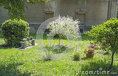 Little garden in the backyard Stock Photo