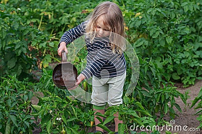 Little gardener girl at summer watering vegetables work Stock Photo