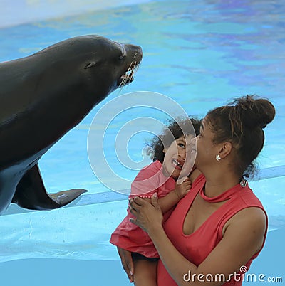 A Little Girl Afraid of a Friendly Sea Lion at Delphinario, Sonora, Mexico Editorial Stock Photo