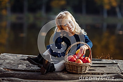 Little girl in autumn with a basket of apples. Harvesting apples Stock Photo