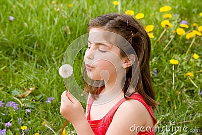 Little Girl Blowing Dandelion Seeds Stock Photo