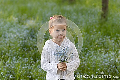 Little girl with a bouquet of forget-me-nots in her hands on a flowered meadow Stock Photo