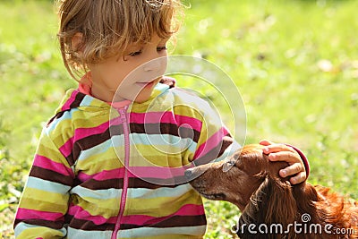 Little girl caress dachshund outdoor Stock Photo