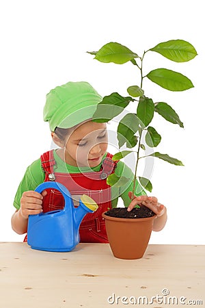 Little girl caring the plant Stock Photo