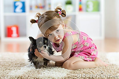 Little girl with Chihuahua dog in children room. Kids pet friendship Stock Photo