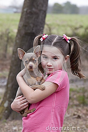 Little girl with Chihuahua puppy Stock Photo