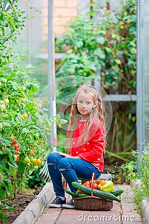 Little girl collecting crop cucumbers and tomatos in greenhouse. Portrait of kid with big busket full of vegetables in Stock Photo