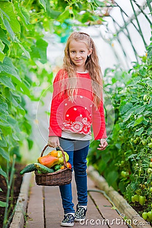 Little girl collecting crop cucumbers and tomatos in greenhouse. Portrait of kid with big busket full of vegetables in Stock Photo