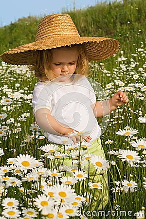 Little girl on the daisy field Stock Photo