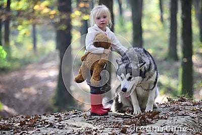 Little girl with dog in autumn forest. Child play with husky and teddy bear on fresh air outdoor. Childhood, game and Stock Photo