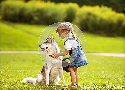 Little girl with a dog Husky Stock Photo