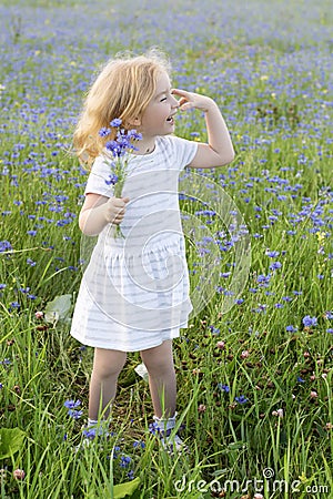 A little girl in a dress and with a bouquet of flowers laughs and plays in a field with cornflowers on a summer day Stock Photo