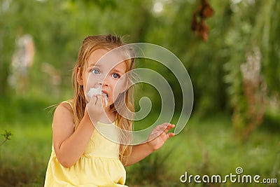 Little girl eating cotton candy. Stock Photo