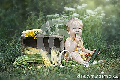 Little girl eating self grown cucumber Stock Photo