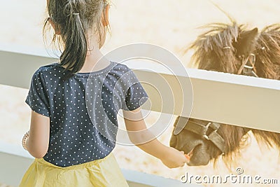 Little girl feeding horse in her farm through a white wooden fen Editorial Stock Photo