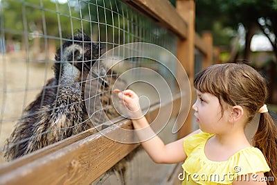 Little girl feeding ostrich. Child at outdoors petting zoo. Kid having fun in farm with animals. Children and animals. Fun for Stock Photo