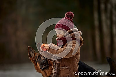 Little girl with German shepherd 6-th months puppy at early spring Stock Photo