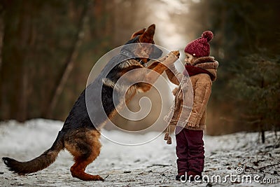 Little girl with German shepherd 6-th months puppy at early spring Stock Photo